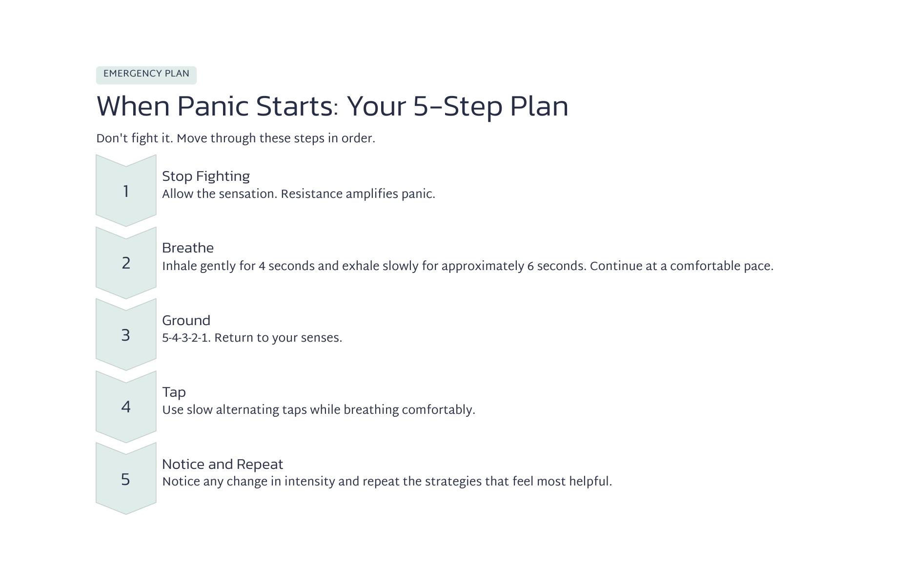 Preview: Panic Action Plan